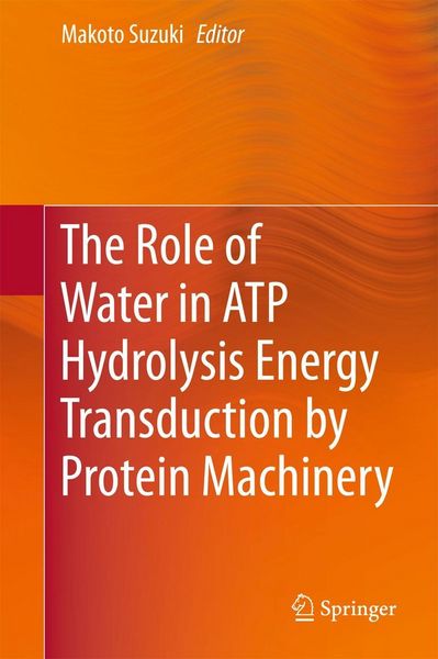 Produktbild: The Role of Water in ATP Hydrolysis Energy Transduction by Protein Machinery