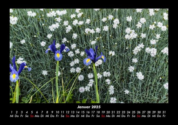 Produktbild: Blumenkalender 2025 Fotokalender DIN A3