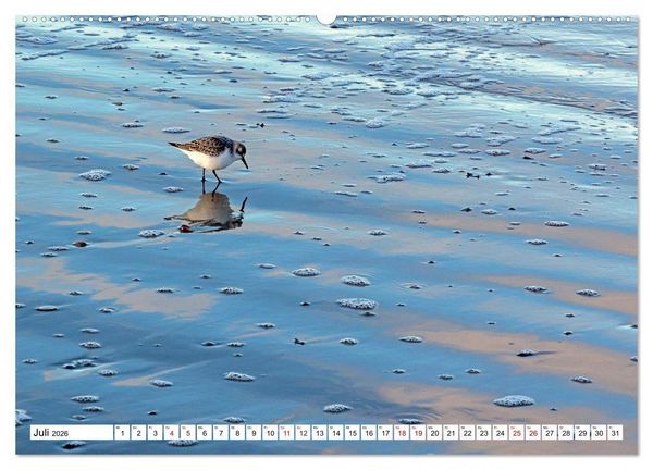 Produktbild: Wintertage auf Norderney (hochwertiger Premium Wandkalender 2026 DIN A2 quer), Kunstdruck in Hochglanz