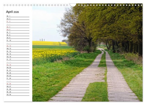 Produktbild: Vier Jahreszeiten im Land Brandenburg (Wandkalender 2026 DIN A3 quer), CALVENDO Monatskalender