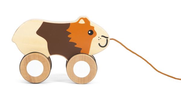 Produktbild: Nachziehtier Meerschweinchen
