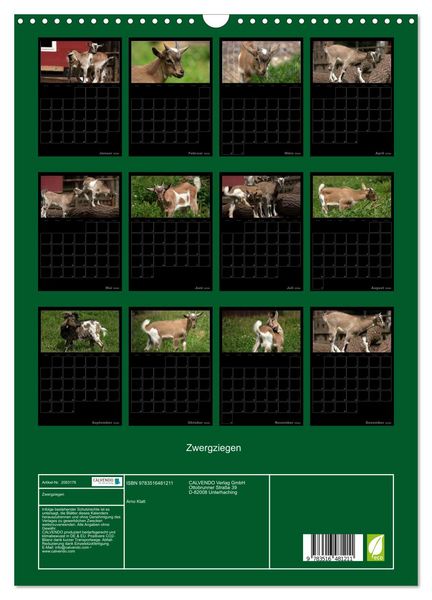 Produktbild: Zwergziegen (Wandkalender 2026 DIN A3 hoch), CALVENDO Monatskalender