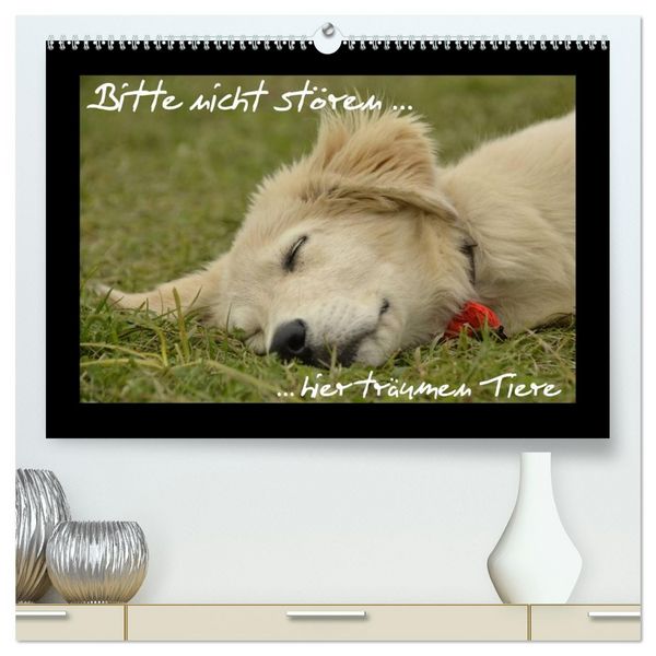 Bitte nicht stören... hier träumen Tiere (hochwertiger Premium Wandkalender 2026 DIN A2 quer), Kunstdruck in Hochglanz