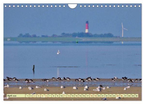 Produktbild: Sonne, Sand und Meer. Farben der K&uuml;ste (Wandkalender 2026 DIN A4 quer), CALVENDO Monatskalender