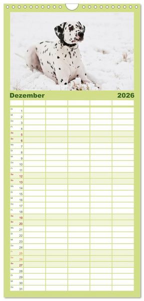 Produktbild: Familienplaner 2026 - Auf den Punkt - Dalmatiner mit 5 Spalten (Wandkalender, 21 x 45 cm) CALVENDO