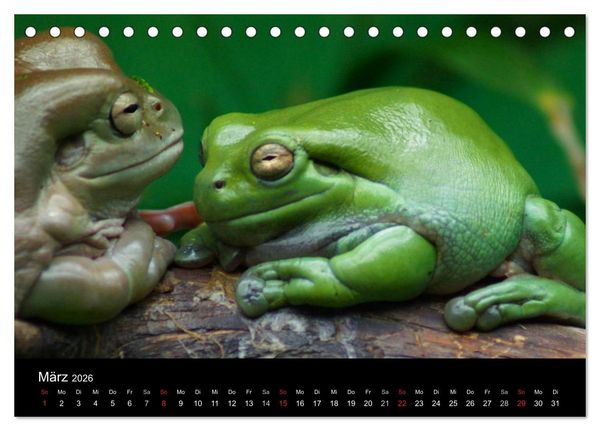 Produktbild: Die Welt der Haustiere (Tischkalender 2026 DIN A5 quer), CALVENDO Monatskalender