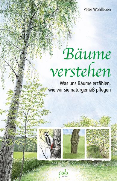 Produktbild: B&auml;ume verstehen