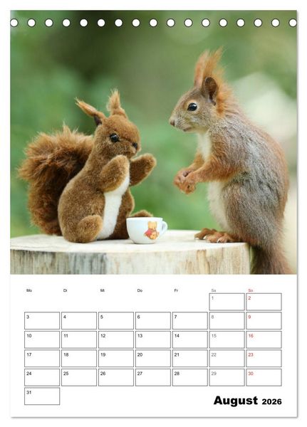 Produktbild: Die kleine Welt der Eichh&ouml;rnchen in Regensburg (Tischkalender 2026 DIN A5 hoch), CALVENDO Monatskalender