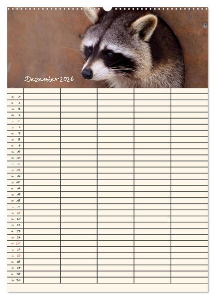 Produktbild: Waschb&auml;ren Familienplaner (Wandkalender 2026 DIN A2 hoch), CALVENDO Monatskalender