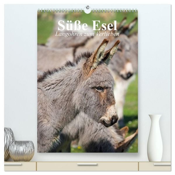 Produktbild: S&uuml;&szlig;e Esel. Langohren zum Verlieben (hochwertiger Premium Wandkalender 2026 DIN A2 hoch), Kunstdruck in Hochglanz