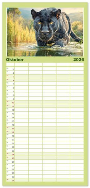 Produktbild: Familienplaner 2026 - Schwarze Panther. Geheimnisvolle Schatten der Wildnis mit 5 Spalten (Wandkalender, 21 x 45 cm) CALVENDO