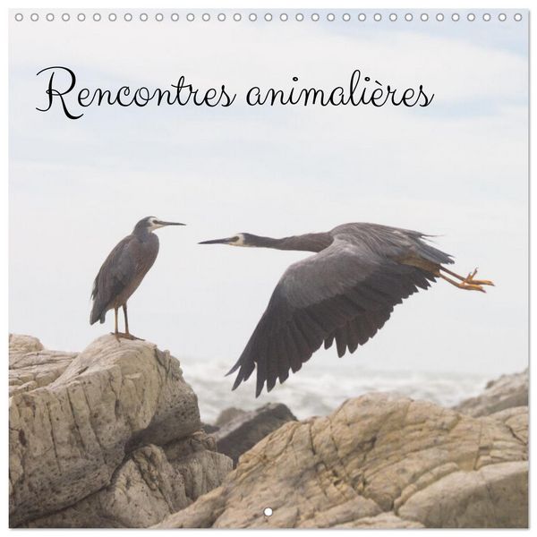 Rencontres animalières (Calendrier mural carré 2026 30x30 cm) Calendrier double avec une page pour vos prises de notes