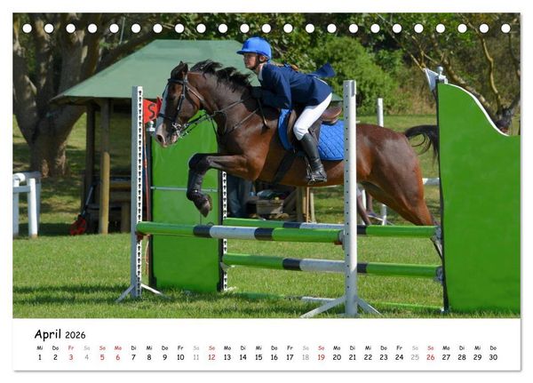 Produktbild: Pony Springreiten (Tischkalender 2026 DIN A5 quer), CALVENDO Monatskalender