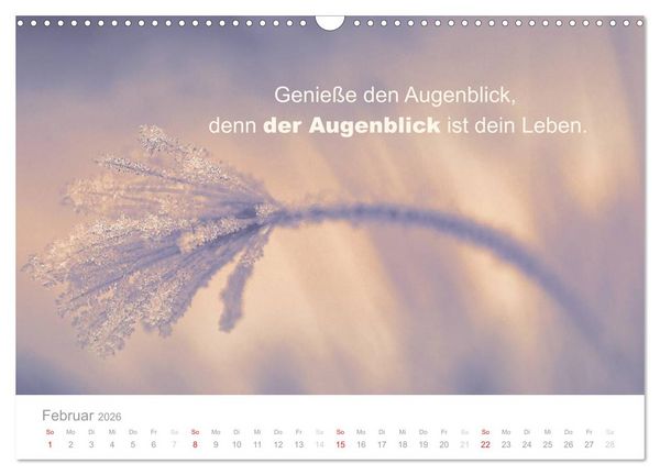 Produktbild: Zauberhafte Spr&uuml;che - Bunte Seelenbl&uuml;ten (Wandkalender 2026 DIN A3 quer), CALVENDO Monatskalender