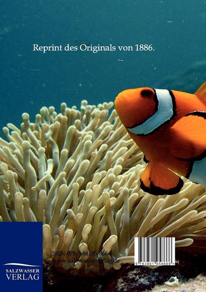 Produktbild: Das S&uuml;&szlig;wasseraquarium
