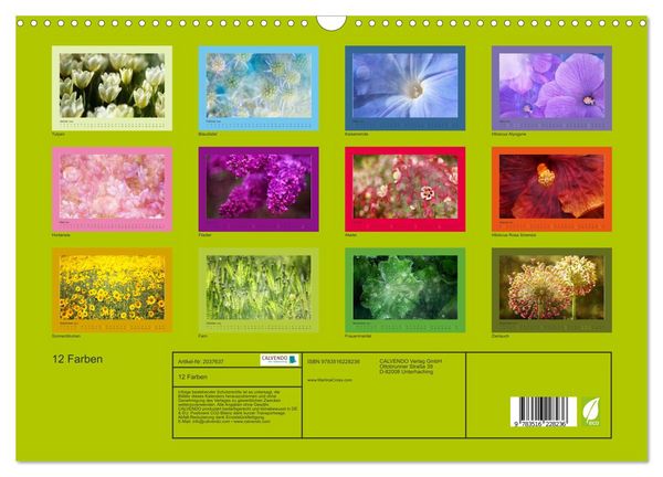 Produktbild: 12 Farben (Wandkalender 2026 DIN A3 quer), CALVENDO Monatskalender