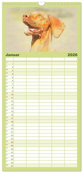 Produktbild: Familienplaner 2026 - Magyar Vizsla 2026 mit 5 Spalten (Wandkalender, 21 x 45 cm) CALVENDO