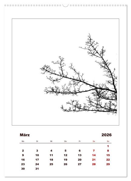 Produktbild: LignoGrafica - Muster und Strukturen der B&auml;ume (Wandkalender 2026 DIN A2 hoch), CALVENDO Monatskalender