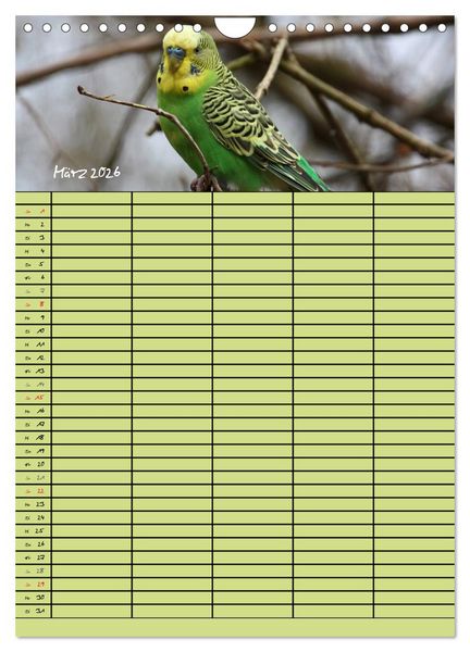 Produktbild: Der Wellensittich-Familienplaner (Wandkalender 2026 DIN A4 hoch), CALVENDO Monatskalender