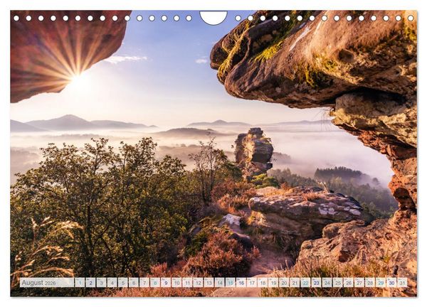 Produktbild: Bunter Pf&auml;lzerwald (Wandkalender 2026 DIN A4 quer), CALVENDO Monatskalender