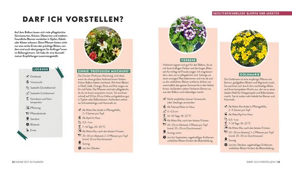 Produktbild: Keine Zeit zu g&auml;rtnern &ndash; Balkongl&uuml;ck mit wenig Aufwand