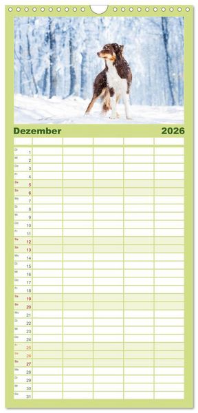 Produktbild: Familienplaner 2026 - Border Collies 2026 mit 5 Spalten (Wandkalender, 21 x 45 cm) CALVENDO
