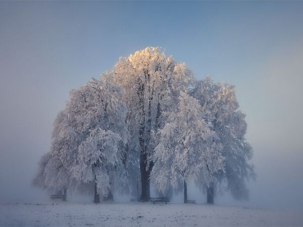 Produktbild: CALVENDO Puzzle Amalienh&ouml;he Heiligenberg, Linzgau | 1000 Teile Lege-Gr&ouml;&szlig;e 64x48cm Foto-Puzzle f&uuml;r gl&uuml;ckliche Stunden