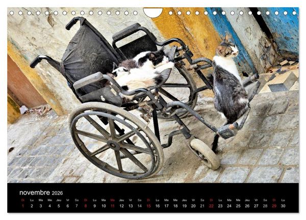 Produktbild: Essaouira Maroc (Calendrier mural 2026 DIN A4 vertical), CALVENDO calendrier mensuel