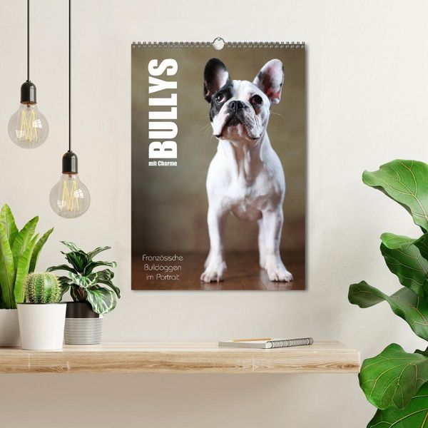 Produktbild: Bullys mit Charme - Franz&ouml;sische Bulldoggen im Portrait (Wandkalender 2026 DIN A3 hoch), CALVENDO Monatskalender