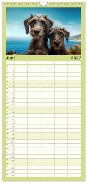 Produktbild: Familienplaner 2027 - Lurcher Portraits - Zwei Welpen entdecken die Welt mit 5 Spalten (Wandkalender, 21 x 45 cm) CALVENDO