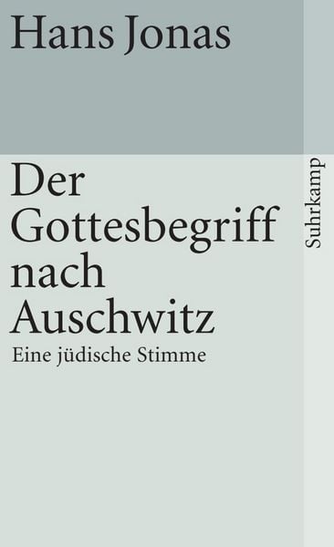 Produktbild: Der Gottesbegriff nach Auschwitz