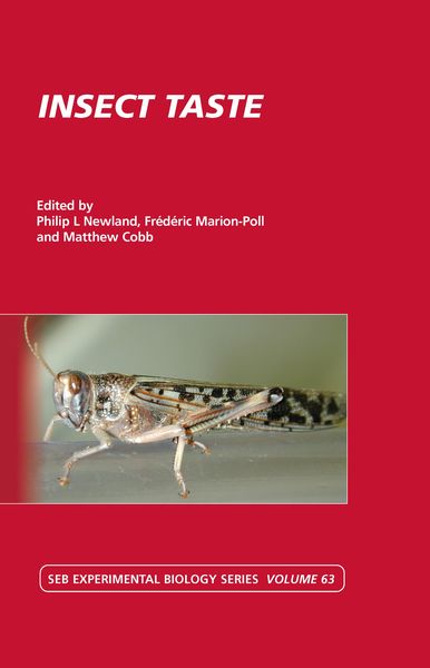 Produktbild: Insect Taste