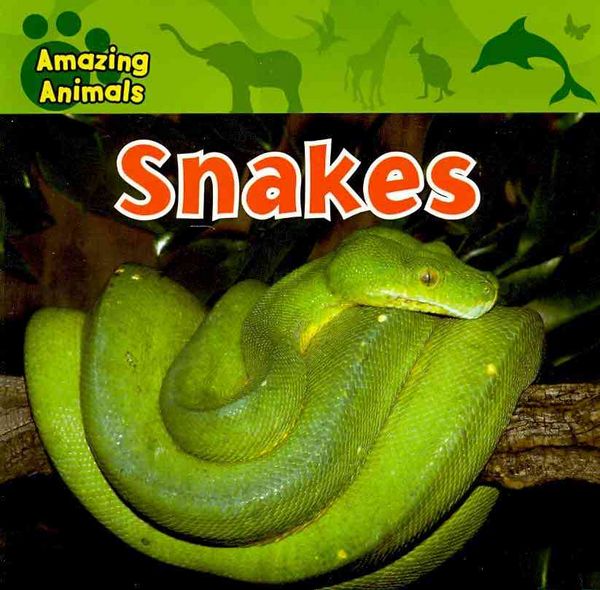 Produktbild: Snakes