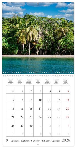 Produktbild: Dream destinations in the Caribbean (Wall Calendar 2026 12 &times; 12 Inch) CALVENDO 12 Month Wall Calendar