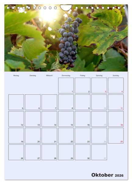 Produktbild: Obst Kalender - GESUND DURCH DAS JAHR (Wandkalender 2026 DIN A4 hoch), CALVENDO Monatskalender