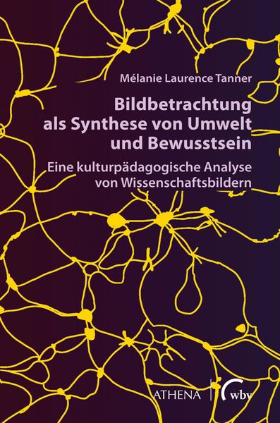 Produktbild: Bildbetrachtung als Synthese von Umwelt und Bewusstsein