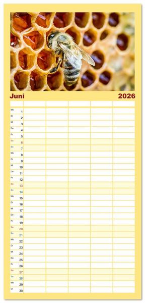 Produktbild: Familienplaner 2026 - HONIG - fl&uuml;ssiges Gold mit 5 Spalten (Wandkalender, 21 x 45 cm) CALVENDO