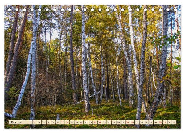Produktbild: Herbst im Schwenninger Moos (Tischkalender 2026 DIN A5 quer), CALVENDO Monatskalender