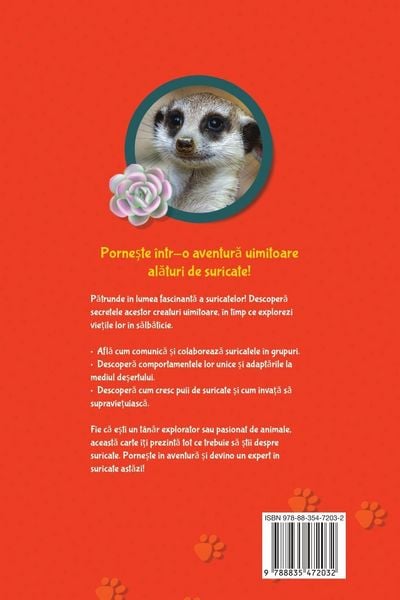 Produktbild: Cartea Elementar&iquest; Despre Surica&iquest;i, Pentru Copii - 100+ Informa&iquest;ii Uimitoare Despre Surica&iquest;i, Fotografii, Teste &iquest;i Multe Altele
