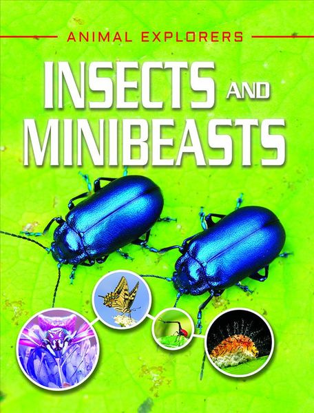 Produktbild: Insects & Minibeasts
