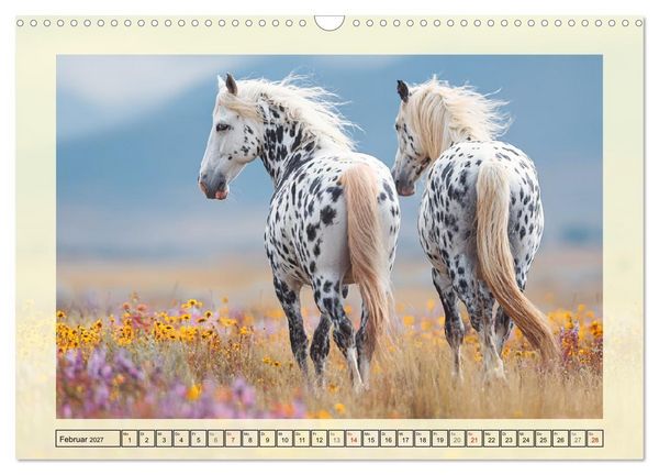 Produktbild: Knabstrupper Poesie. Gescheckte Eleganz im Farmsommer (Wandkalender 2027 DIN A3 quer), CALVENDO Monatskalender