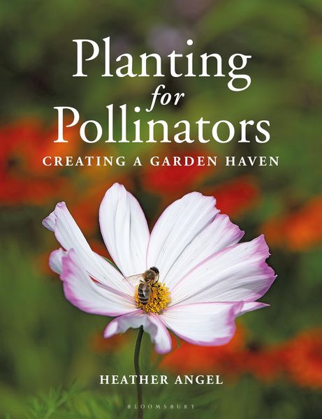 Produktbild: Planting for Pollinators