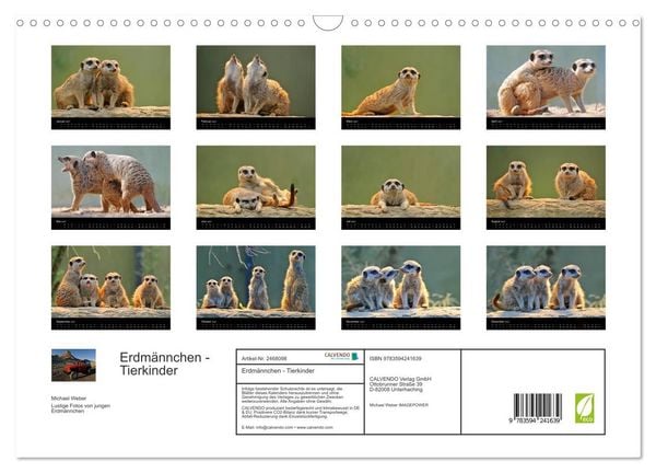Produktbild: Erdm&auml;nnchen - Tierkinder (Wandkalender 2027 DIN A3 quer), CALVENDO Monatskalender