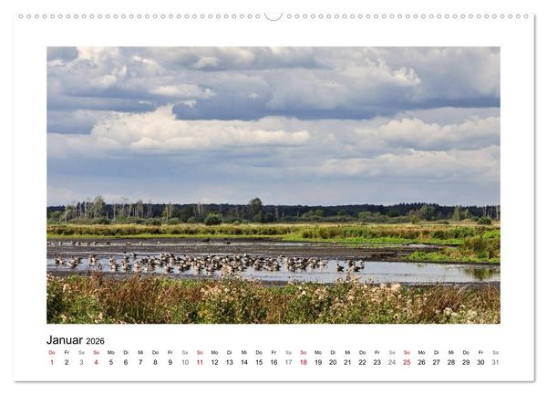 Produktbild: Steinhuder Meer Impressionen (Wandkalender 2026 DIN A2 quer), CALVENDO Monatskalender