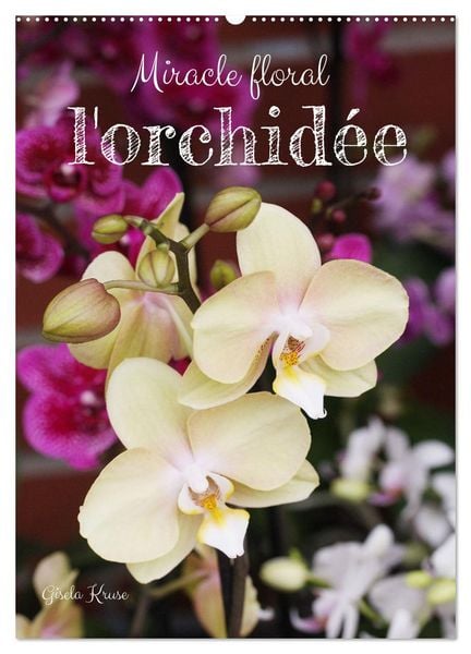 Produktbild: Miracle floral l'orchid&eacute;e (Calendrier mural 2026 DIN A2 horizontal), CALVENDO calendrier mensuel