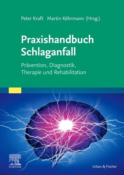 Produktbild: Praxishandbuch Schlaganfall