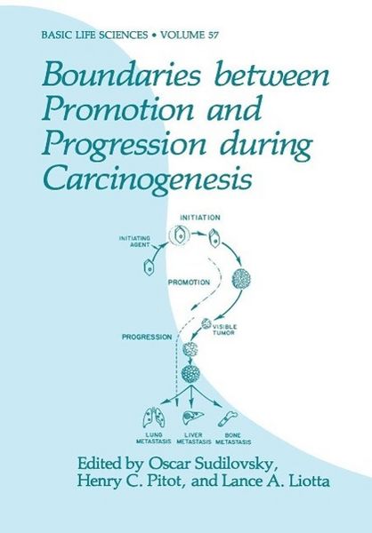 Produktbild: Boundaries between Promotion and Progression during Carcinogenesis
