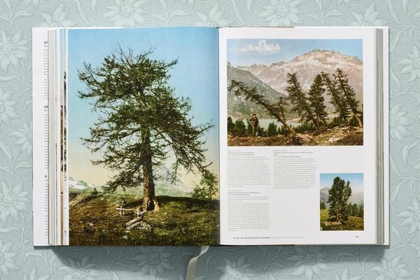 Produktbild: The Alps 1900. A Portrait in Color