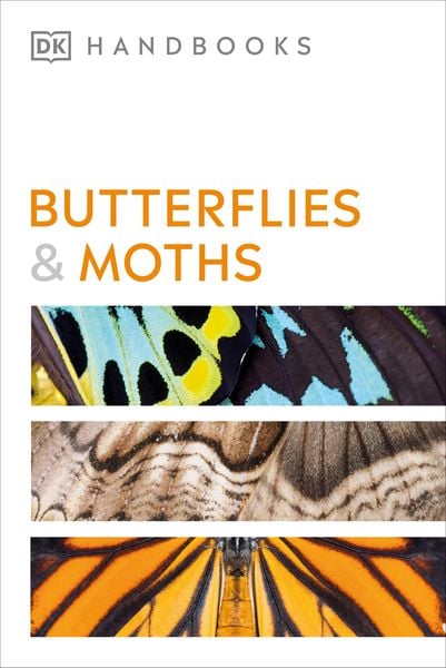 Produktbild: Butterflies and Moths