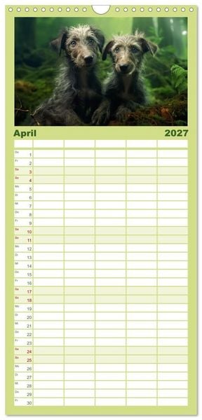 Produktbild: Familienplaner 2027 - Lurcher Portraits - Zwei Welpen entdecken die Welt mit 5 Spalten (Wandkalender, 21 x 45 cm) CALVENDO